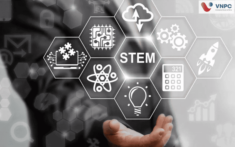 Ngành STEM là gì? Ưu điểm, cơ hội nghề nghiệp và triển vọng